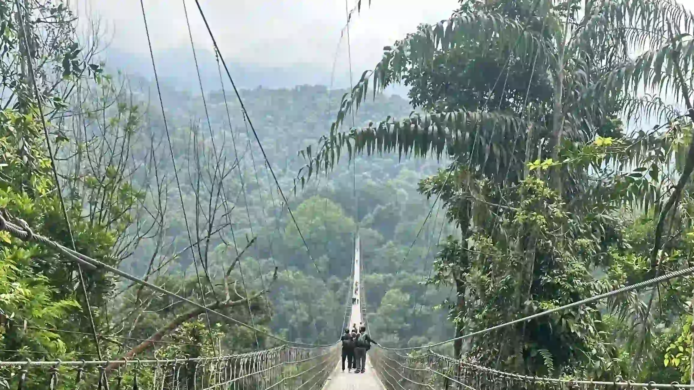 Jembatan Gantung Situ Gunung: Bukti Pariwisata Bisa Selaras dengan Alam