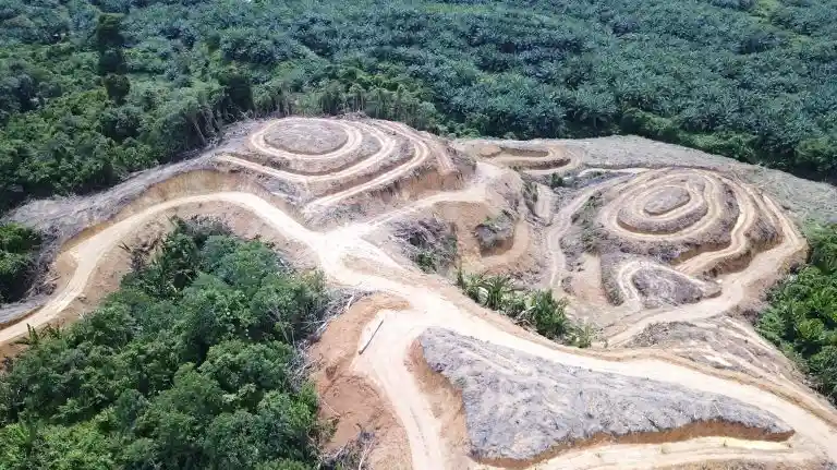 Ironis! Negara Gugat 6 Perusahaan Imbas Banjir Sumatra, Abaikan Pemberi Izinnya