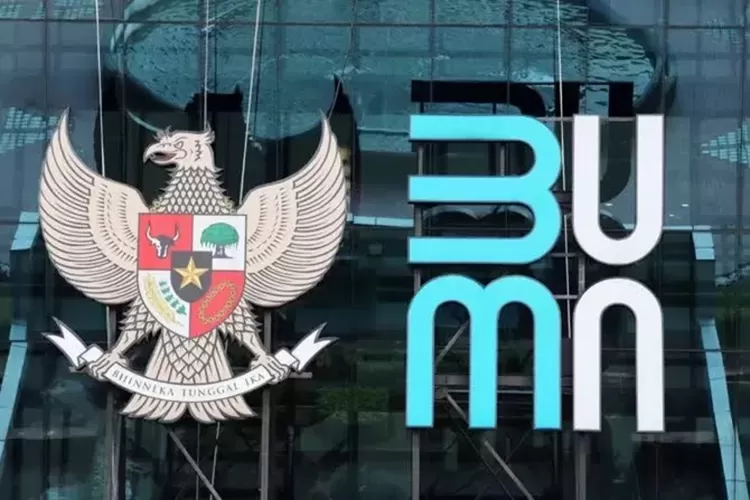 Turun Kasta Jadi Badan, Kementerian BUMN Berisiko Tumpang Tindih dengan Danantara
