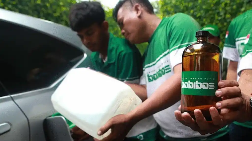 Energi Ajaib dari Blue Energy, Nikuba dan Bobibos