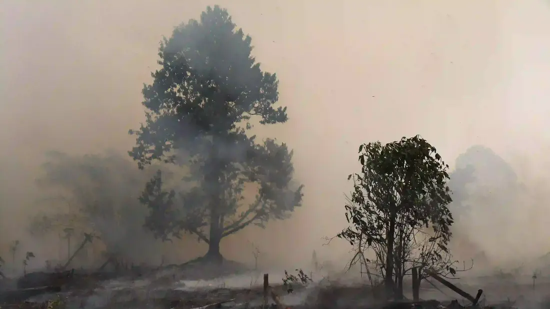 kebakaran