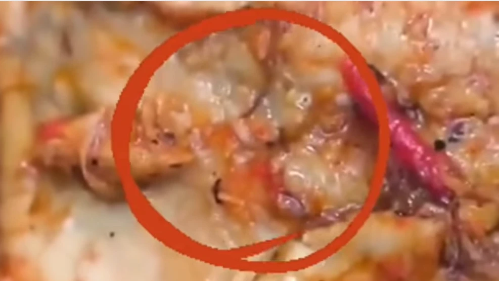 Belatung Menu MBG dan Perlunya Mengoreksi Ambisi yang Terlalu Tinggi