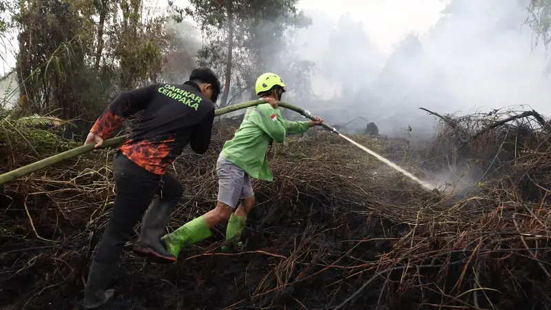Kebakaran Hutan dan Kabut Asap di Kalimantan: Mengapa Terus Berulang?