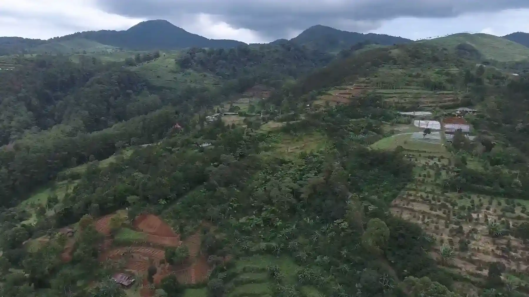 Hutan Lindungnya Hilang, Dua Area Puncak Alami Banjir Longsor Terparah
