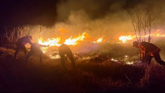 107 Ribu Hektare Hangus Terbakar, Pemerintah Dinilai Tak Serius Tangani Karhutla   