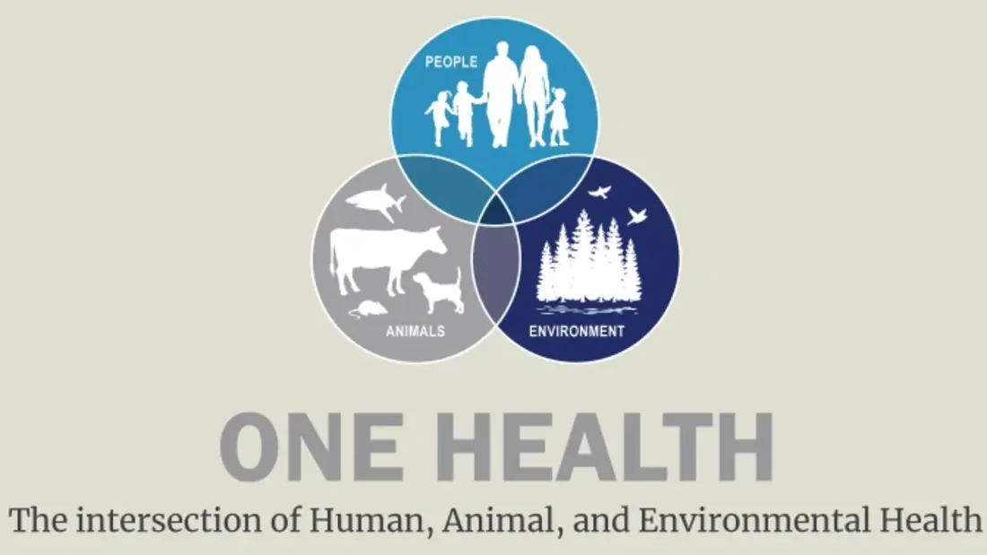 Mewaspadai Pujian WHO Terkait Kesuksesan One Health di Indonesia