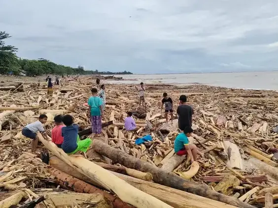 Kayu gelondongan diduga akibat eksploitasi hutan menumpuk di kawasan Pantai Padang, setelah hujan melanda Sumbar. (Foto: dok WALHI Sumbar) kayu gelondongan