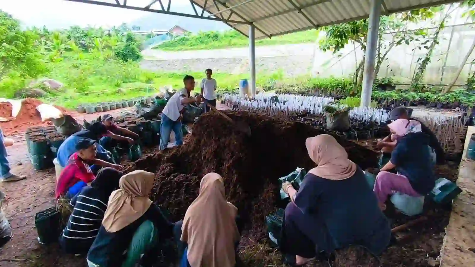 Sumber: https://www.facebook.com/imam.b.prasodjo penanaman sayur