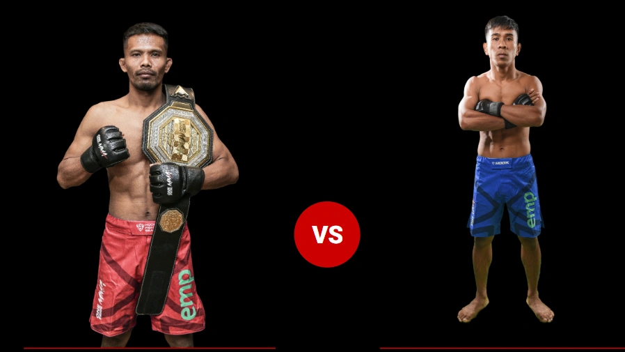 mixed martial art