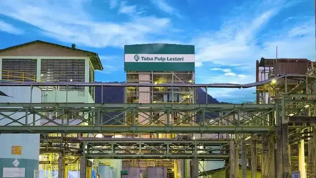 Toba Pulp