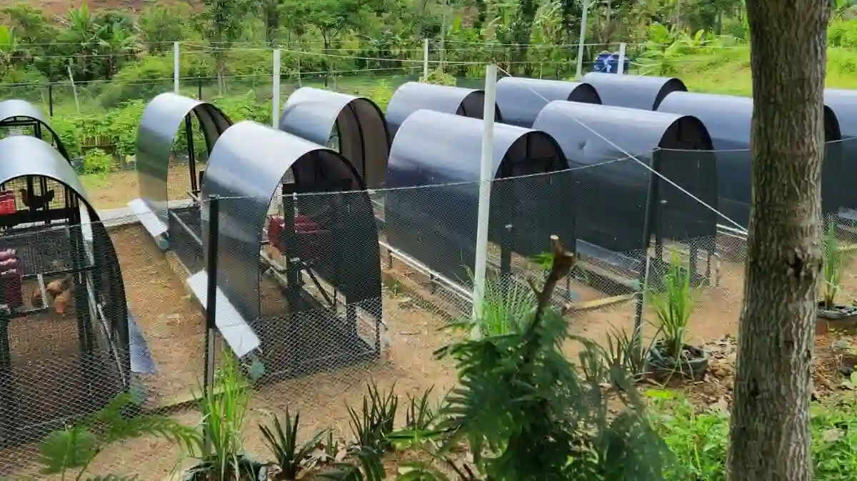 Salah satu inisiatif Kampung Ilmu, Desa Cisarua, Purwakarta, Jawa Barat, dengan membuat peternakan lestari. (Sumber: https://web.facebook.com/imam.b.prasodjo) Peternakan