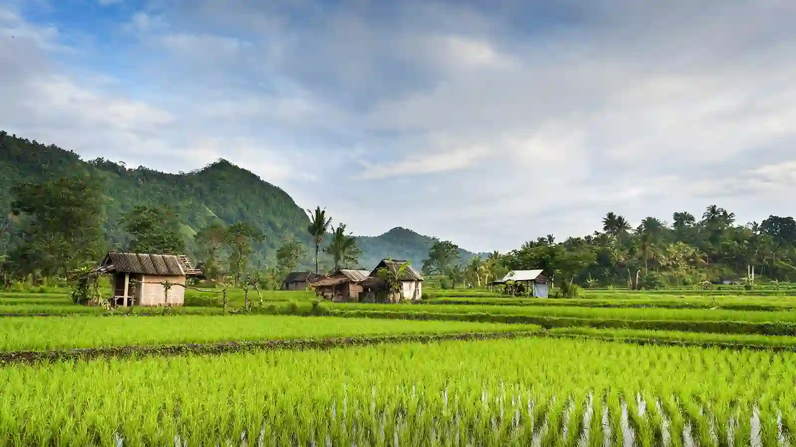 subak