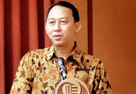 Djoko Setijowarno, Pengamat MTI