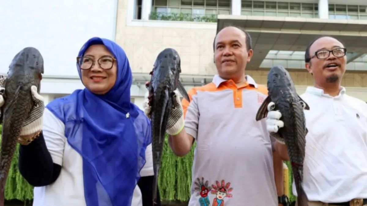 Penagkapan sapu-sapu