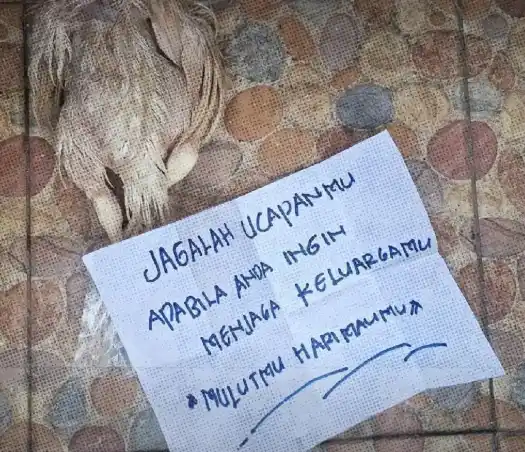 Bangkai Ayam dan Pesan Teror yang Diterima Aktivis Greenpeace (Foto: Instagram Greenpeace) bangkai ayam