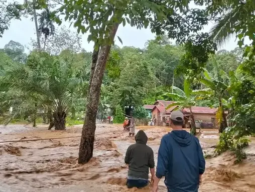 Kondisi banjir yang melanda wilayah Kabupaten Padang Sidempuan, Provinsi Sumatera Utara pada Selasa (25/11). (BPBD Kabupaten Padang Sidempuan) banjir