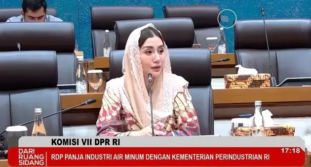 Anggota Komisi VII, Novita Hardini (Foto: Tangkapan Layar TV Parlemen) Novita Hardini