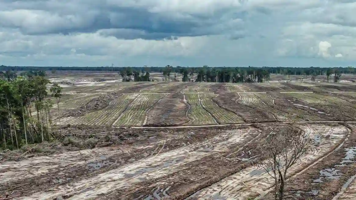 food estate
