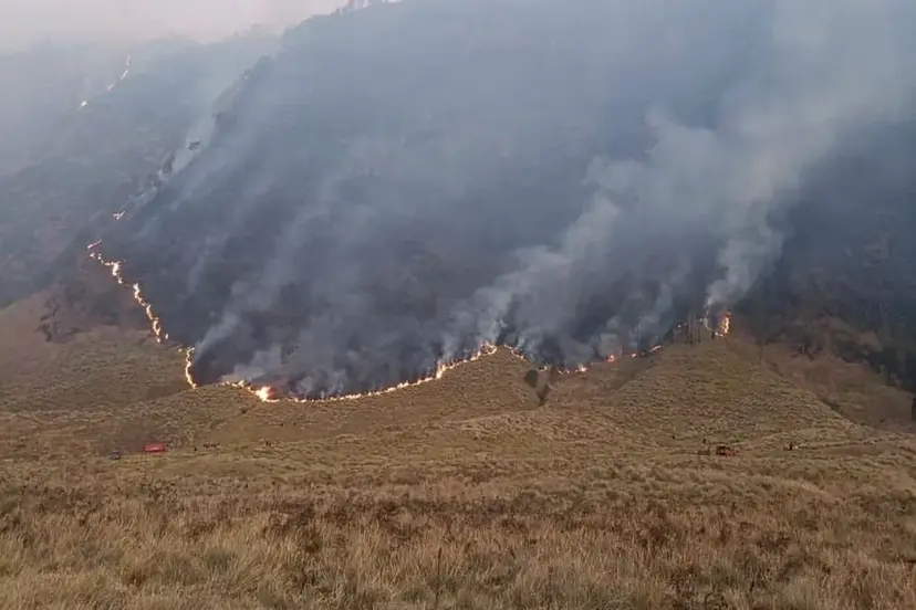 Kondisi kebakaran di kawasan Gunung Bromo, Kamis (6/8/2026)(Foto: BPBD Jatim)
kebakaran bromo