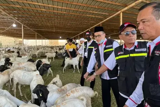 dam haji