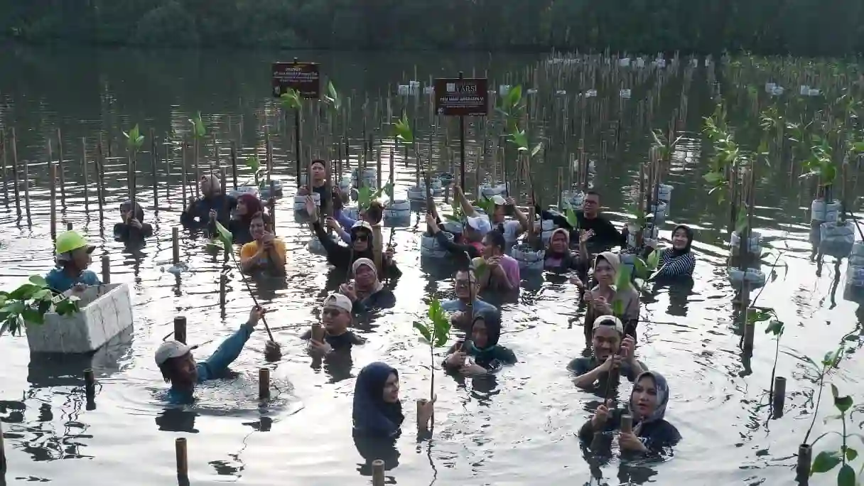 Menanam Mangrove, Menanam Masa Depan Jakarta yang Sehat