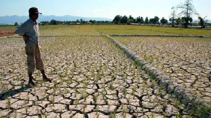 Sumber: https://bpba.acehprov.go.id/ kerusakan lingkungan akibat sawah