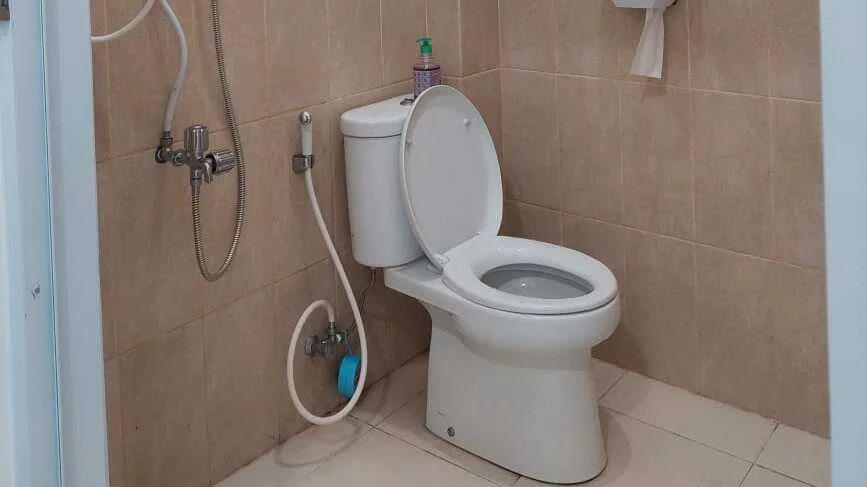 Ilustrasi toilet bersih. (Sumber: https://unitkesehatan.ipb.ac.id/) toilet