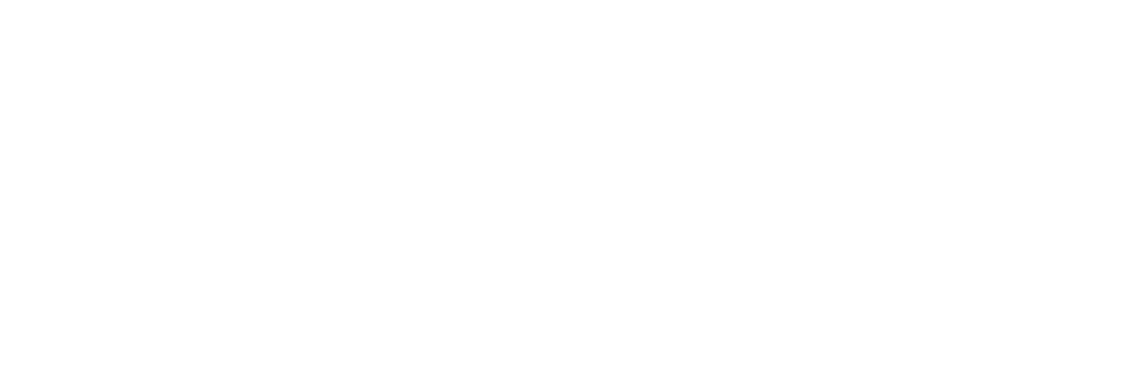 TheStance